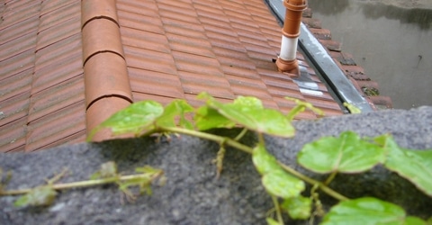 Que faire en cas d'humidité dans sa maison ?