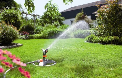 Comment arroser efficacement son jardin l’été ?