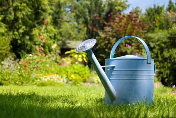 Comment arroser efficacement son jardin l’été ?