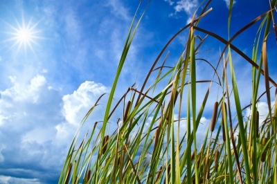 Tous les bienfaits de l’éclairage naturel