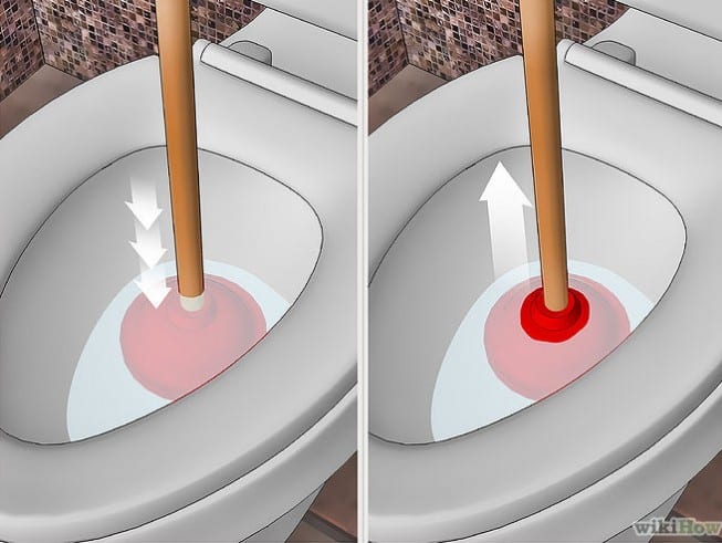 utilisation ventouse wc