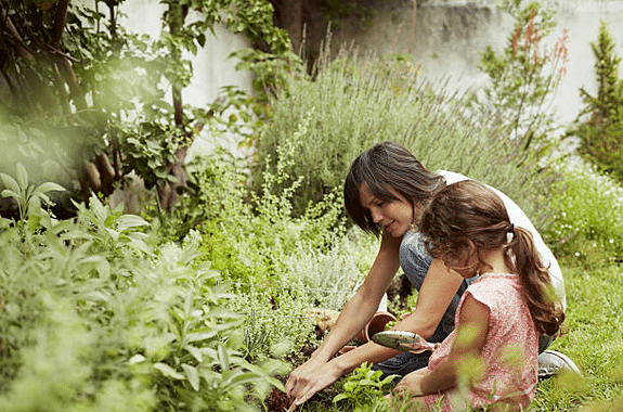 6 gestes écologiques pour un jardin bio 100% naturel