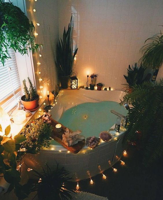 plantes-jungle-decoration-spa