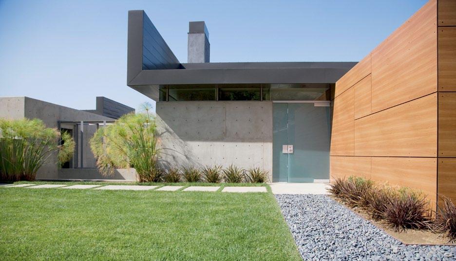 Décoration de l'allée d'une maison contemporaine avec des galets et des plantes