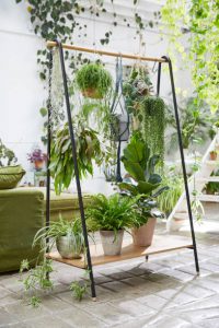 Portique avec plantes posées et suspendues utilisé pour faire séparation salon