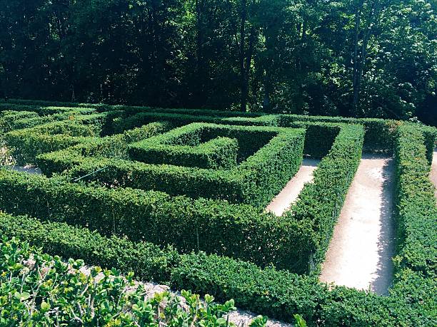 Labyrinthe végétal avec une haie bien taillée