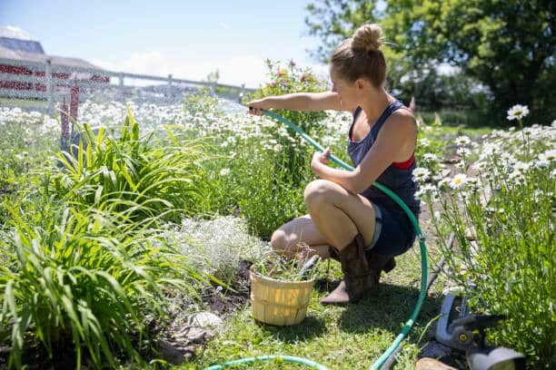 Jeune femme en train d'arroser les fleurs de son jardin