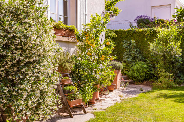 Jardin vert devant maison