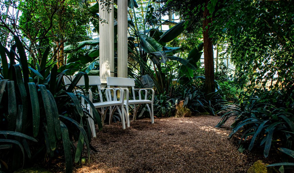 Bancs blancs dans un jardin