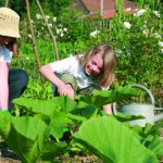 au jardin 150x150 - Akena Vérandas nous donne son avis pour réussir sa véranda