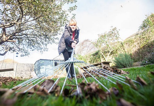 Préparer son jardin pour le printemps et l’été