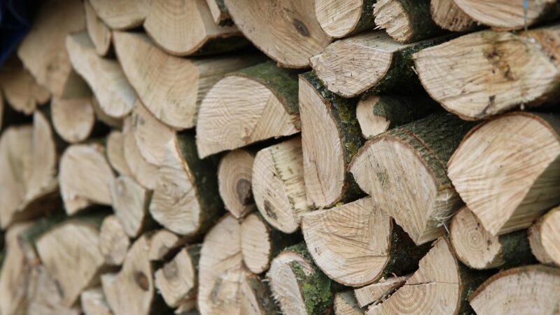 Quel est le prix d’un stère de bois ?