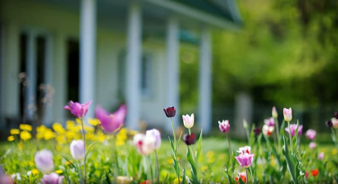 Vous avez un terrain! Faites un jardin