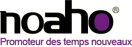 logo - Zoom sur Noaho, promoteur immobilier lyonnais Zoom sur Noaho, promoteur immobilier lyonnais