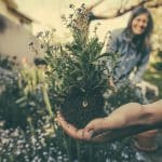 Jeunes femmes en train de jardiner et de planter des fleurs